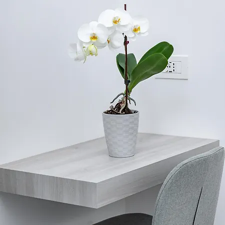 Zagara Maison d'hôtes